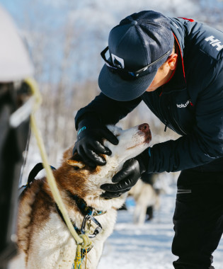 Dog sledding