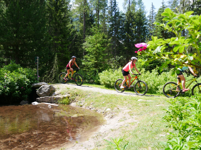 🟡 Vous débutez en VTT ?