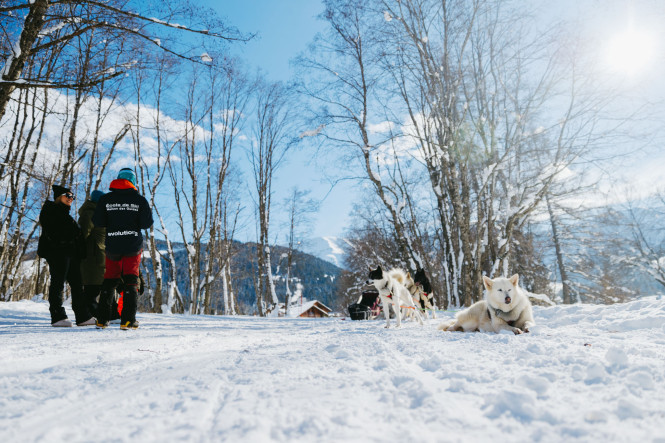 chiensdetraineau-activité-musher-tourisme-evolution2