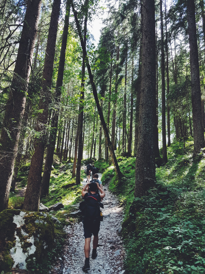 As-tu le profil pour devenir accompagnateur en moyenne montagne ? 🤔