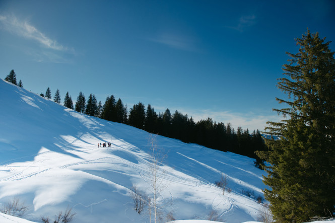 raquettes-avoriaz-air-pur-montagne