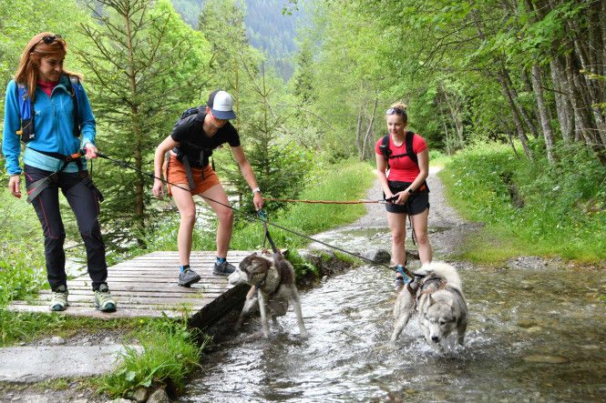 evolution2-chamonix-cani-rando