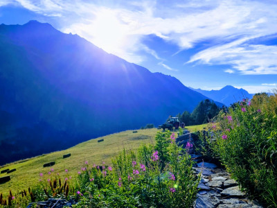 Au sujet de Ste Foy Tarentaise cet été..