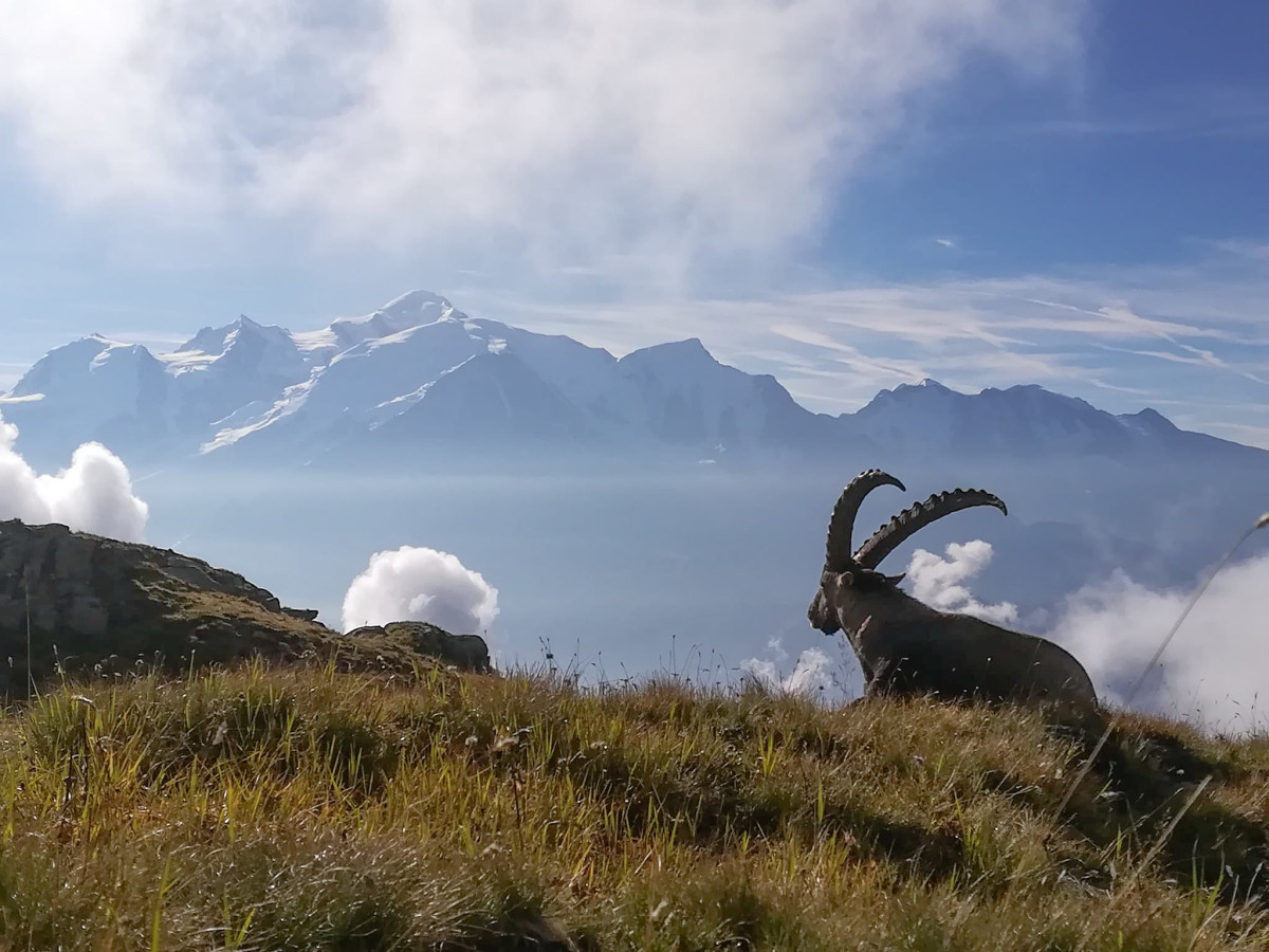 Week-end prolongé et séjour à Chamonix :  Quelles activités faire au printemps ?