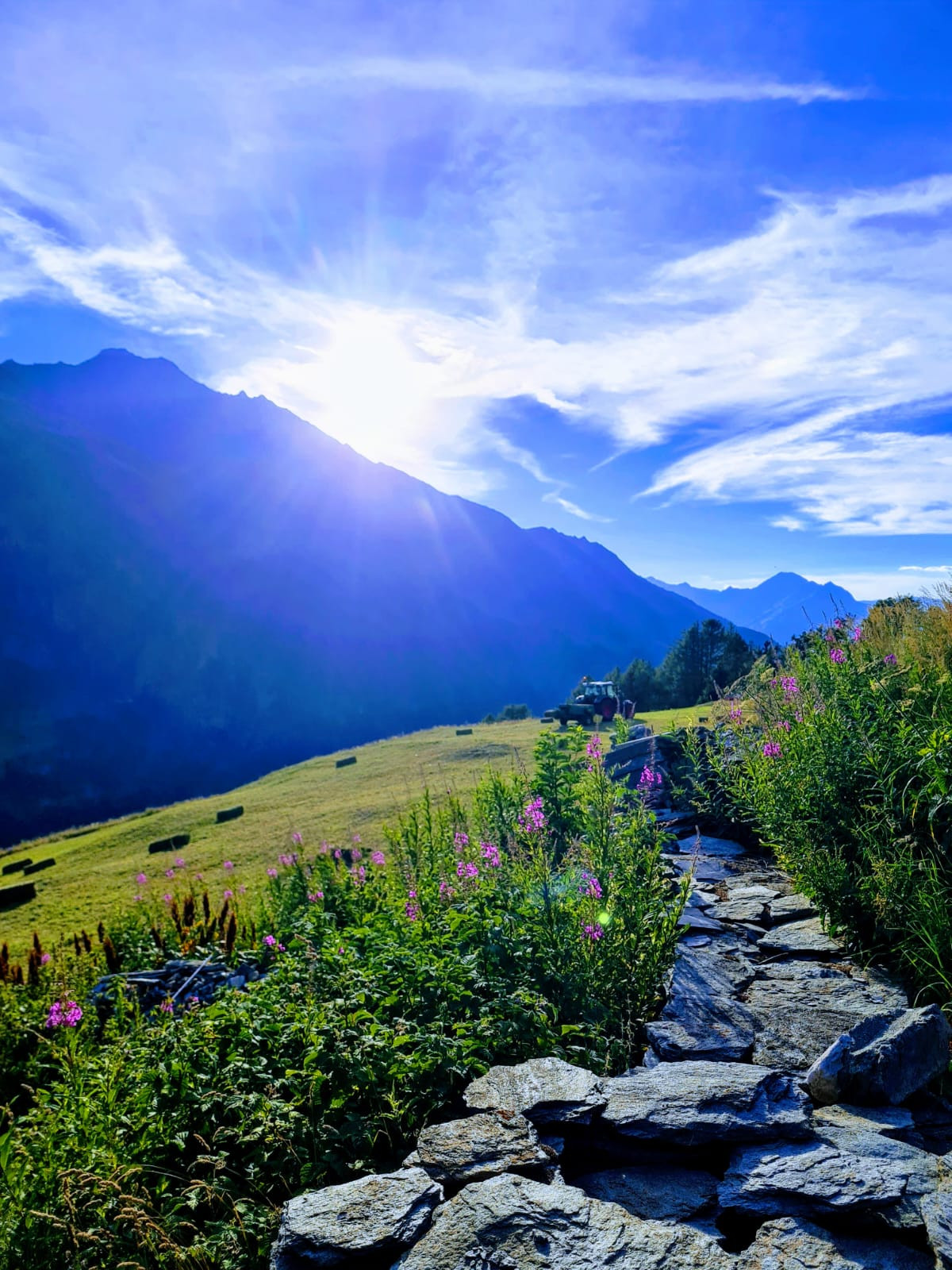 Au sujet de Ste Foy Tarentaise cet été..