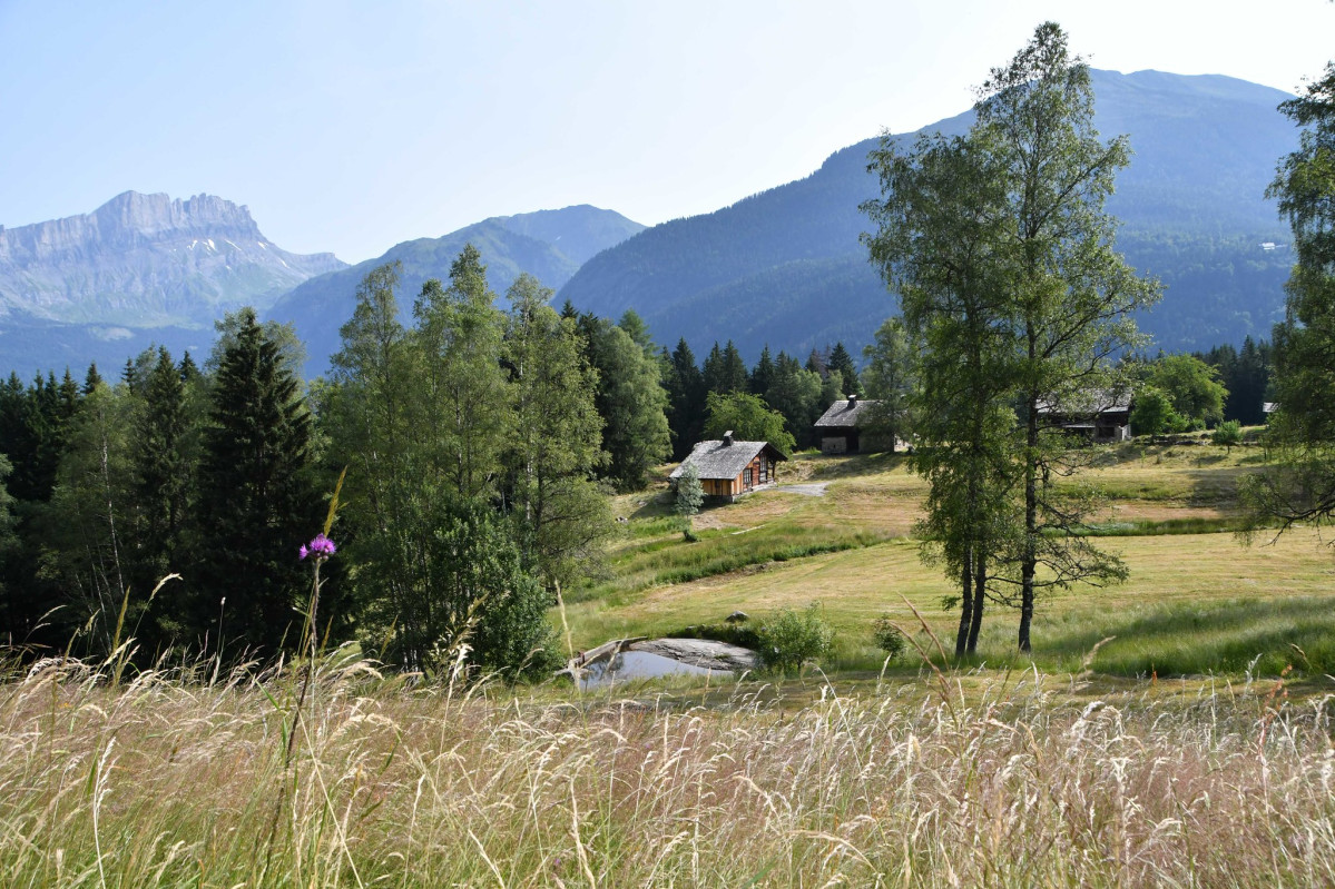 Randonnée à Chamonix