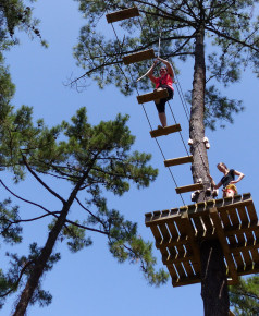 Go Ape