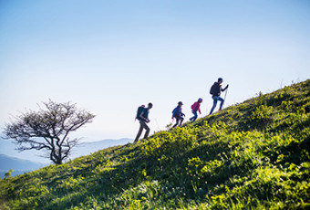 HIKING HALF-DAY