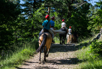 HORSE RIDING IN MORZINE