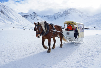 Horse sleigh ride with Evolution 2 tignes.