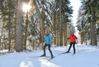 Ski cross country