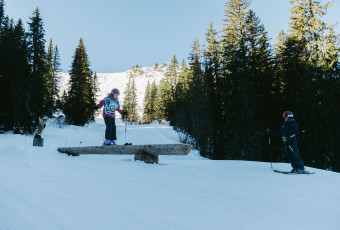 Private Freestyle ski lessons