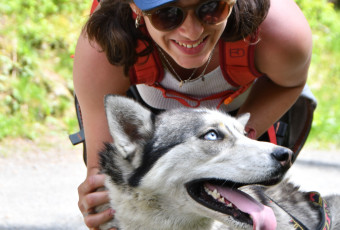 dog, nature, hiking, excursion, haute-savoie, huskys