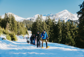 snowshoes, snow, hiking, mountain, course