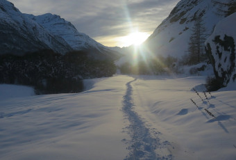 Nature snowshoeing