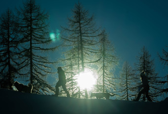 village plan bois experience la plagne