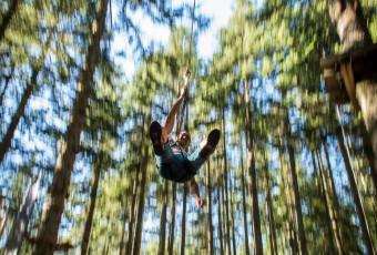 Tree climbing Val Cenis