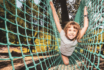 Treetop adventure